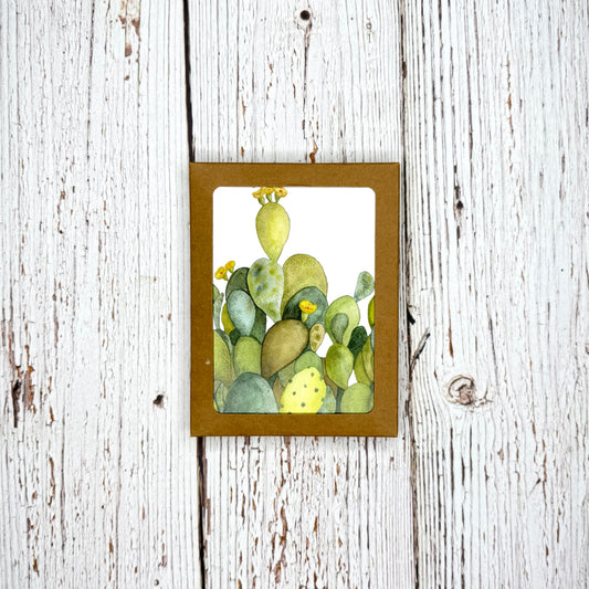 Kraft box of notecards with cactus artwork