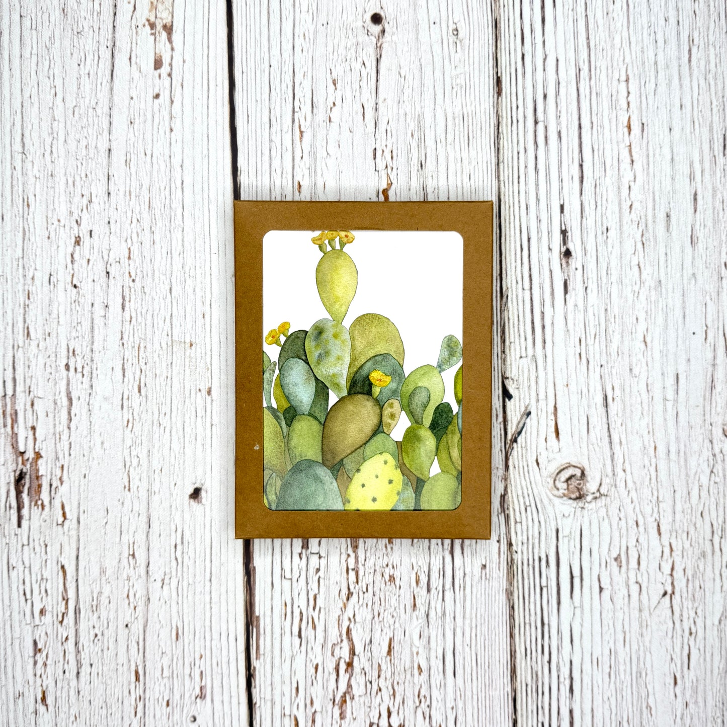 Kraft box of notecards with cactus artwork