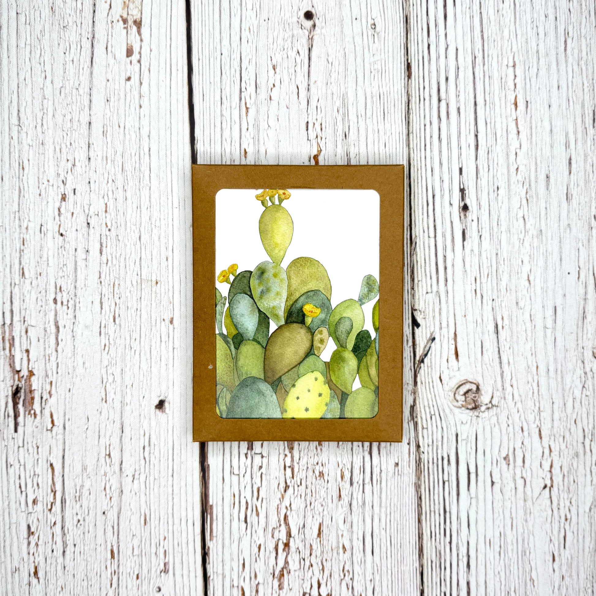 Kraft box of notecards with cactus artwork