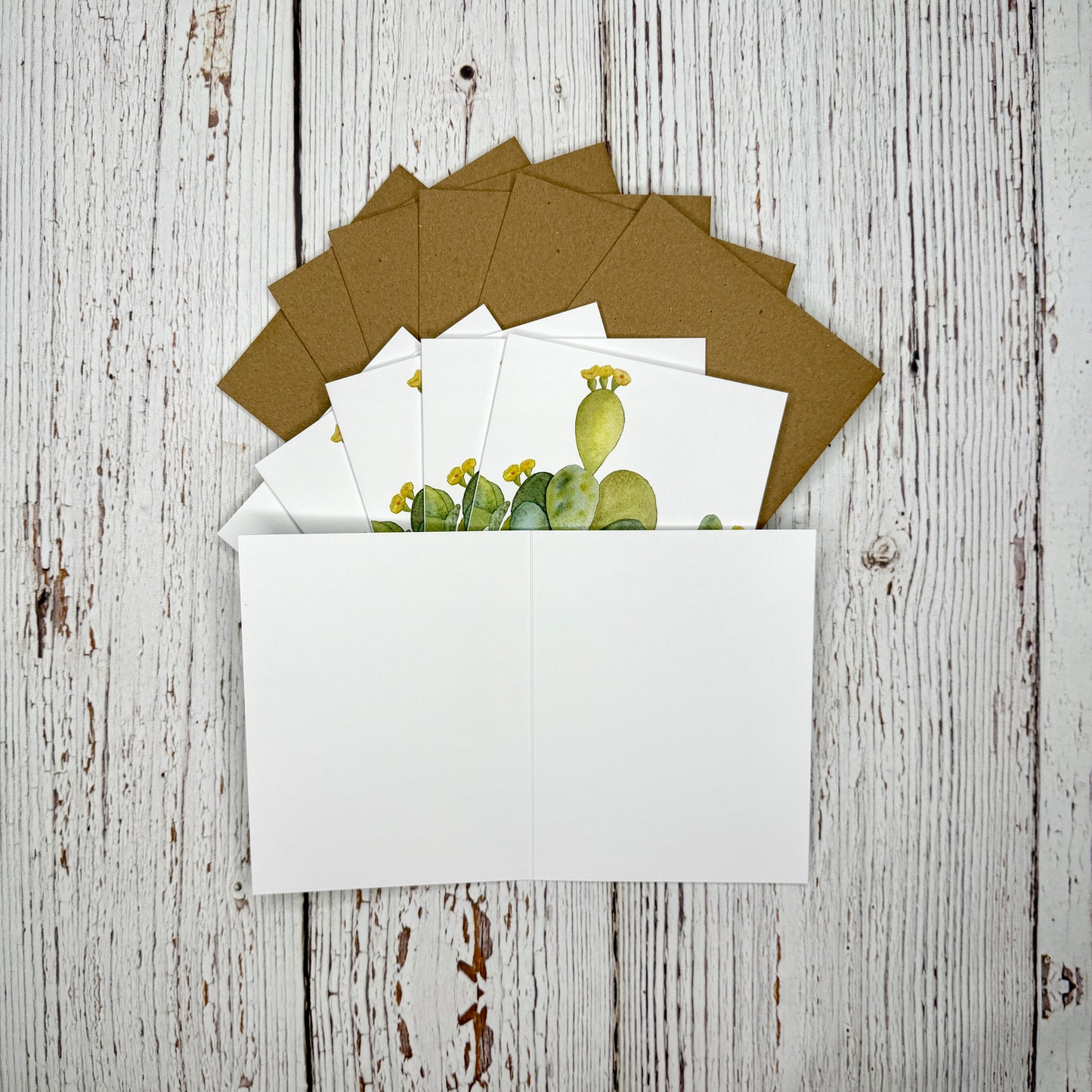 Blank inside of a set of greeting cards with a cactus design on a wooden surface