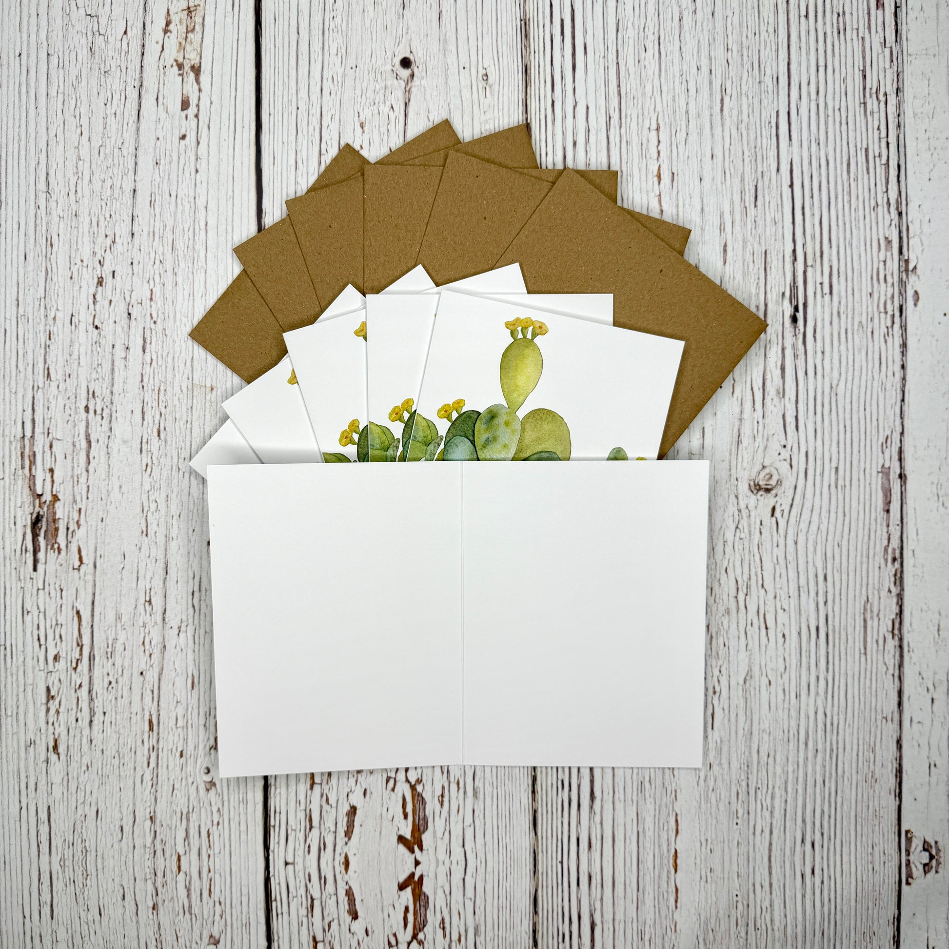 Blank inside of a set of greeting cards with a cactus design on a wooden surface