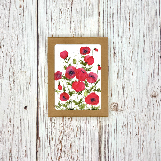 Note Cards, 6pk - Red Poppies